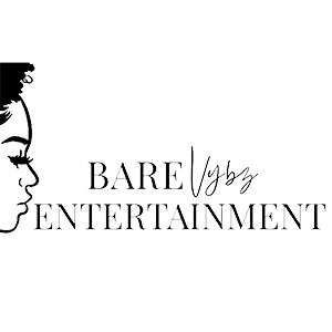 bv logo