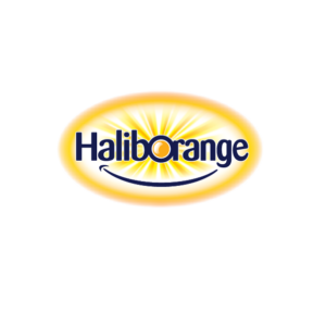 Logo_No_Background